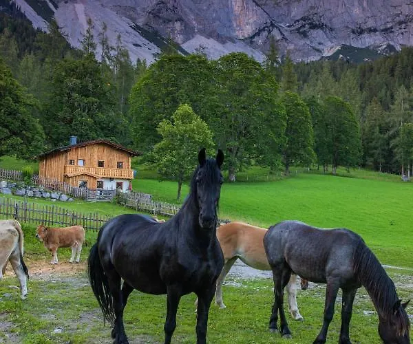 Holzerjuwel - Minzlhof Holiday home Ramsau am Dachstein
